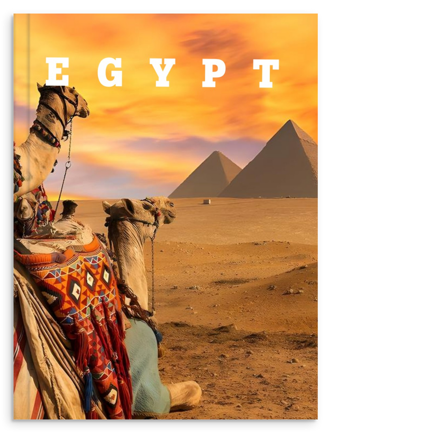 82d0642d-02e9-49e1-a861-fc48f75ef87f